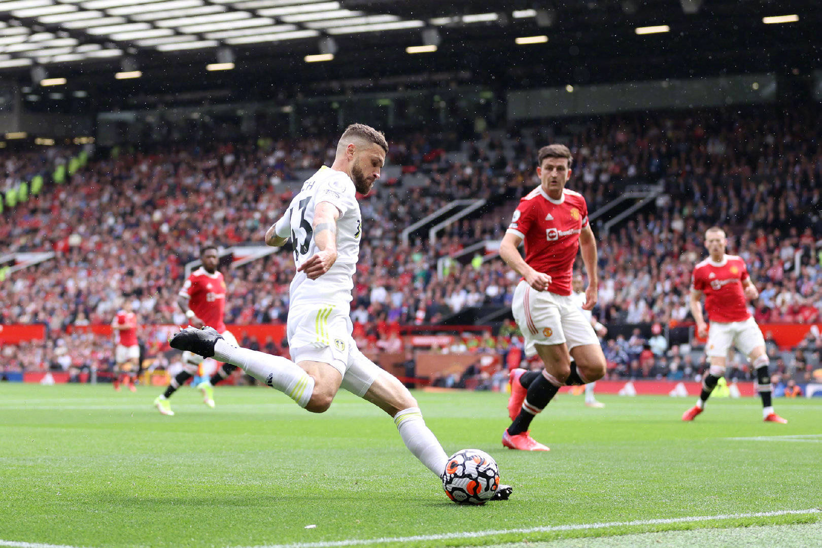 是引发了全 是引发了全