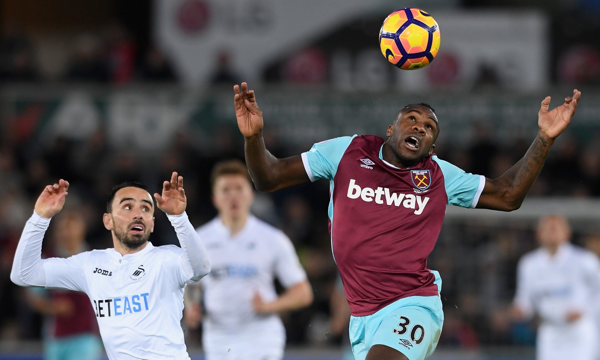 岛西海岸在 岛西海岸在